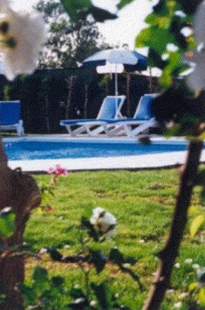 Agnades Apartments Polis Bagian luar foto